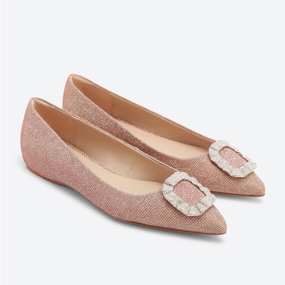 Aldo Umireni Broach Details Ballerina flats - Picture 1 of 9